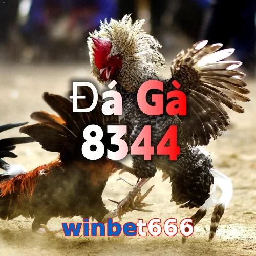 winbet666